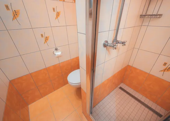 Horsky Statek 3* Sumavske Hostice